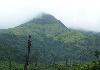 Chemdra Peak Wayanad 